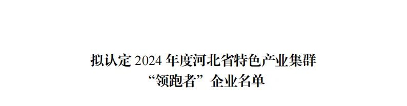 英辰新能源荣登2024年度河北省特色产业集群“领跑者”企业榜单