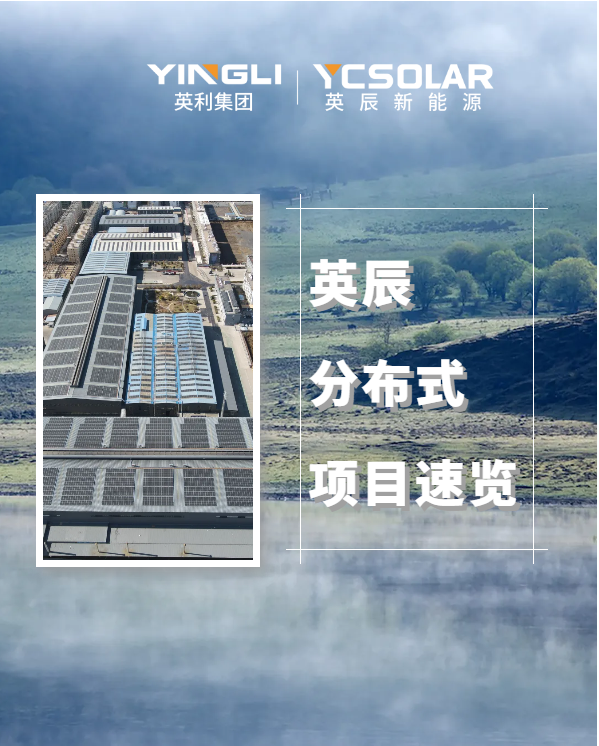 Project Cases | Integrating high-efficiency photovoltaic modules with rural revitalisation, industrial and commercial distributed