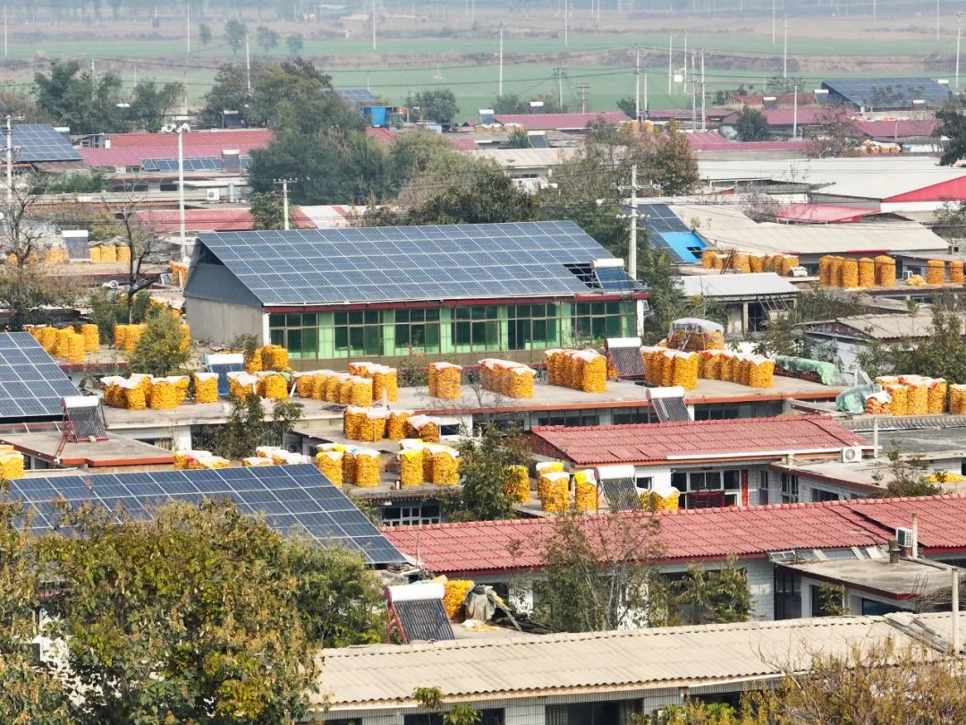 Project Cases | Integrating high-efficiency photovoltaic modules with rural revitalisation, industrial and commercial distributed